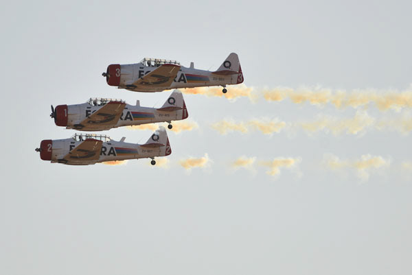 Flying Fun at Rand Airshow