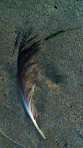 Discover the Garden Route