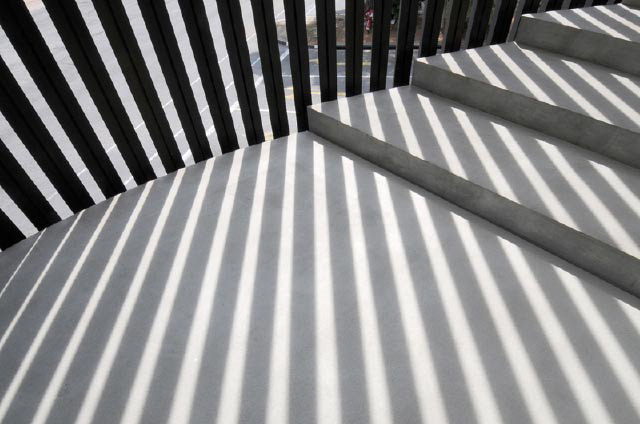 Everard Read Gallery Exhibition Photos