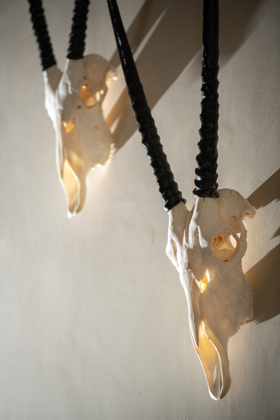 A.M 5 star lodge images