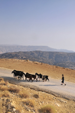 Landscape Photo