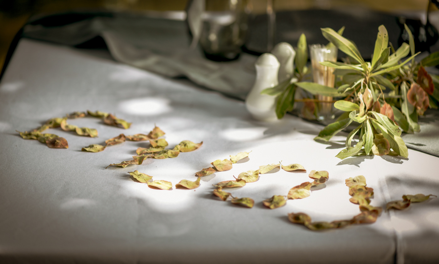 Ignus Gerber - A.M. 5 Star Lodge