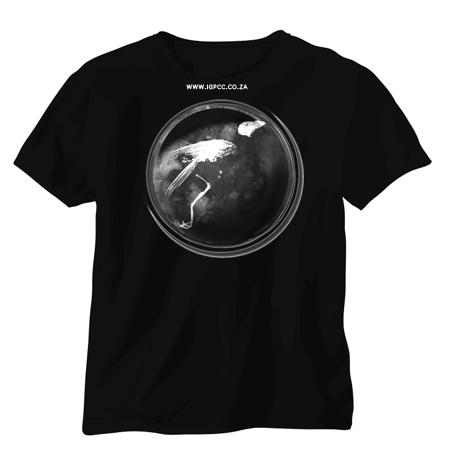 Brand T
