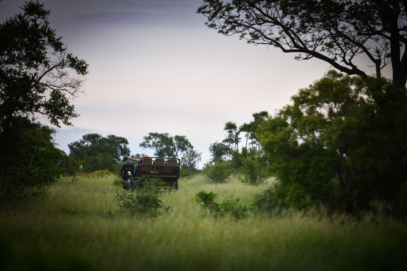 game drive at A.M 5 star lodge