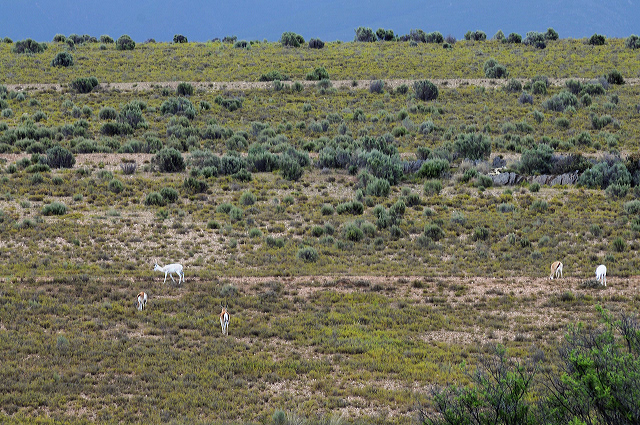 exploring South Africa's Garden Route