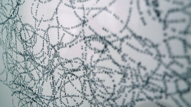 Willem Boshoff Art Exhibition Photo