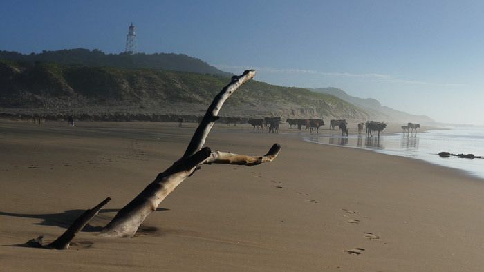 Old Transkei Landscape Photo