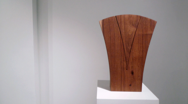 Willem Boshoff Art Exhibition Photo