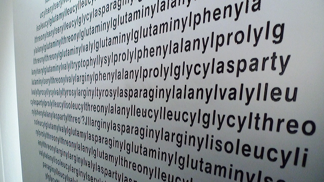 Willem Boshoff Art Exhibition Photo