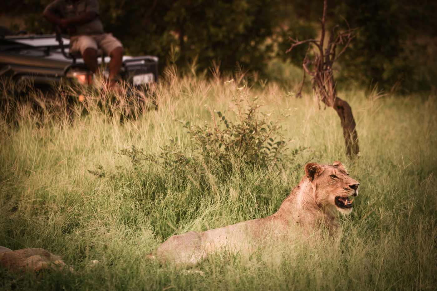 AM Lodge, Hoedspruit, South Africa