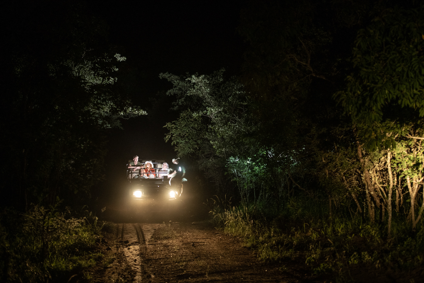 night safari drive photos 