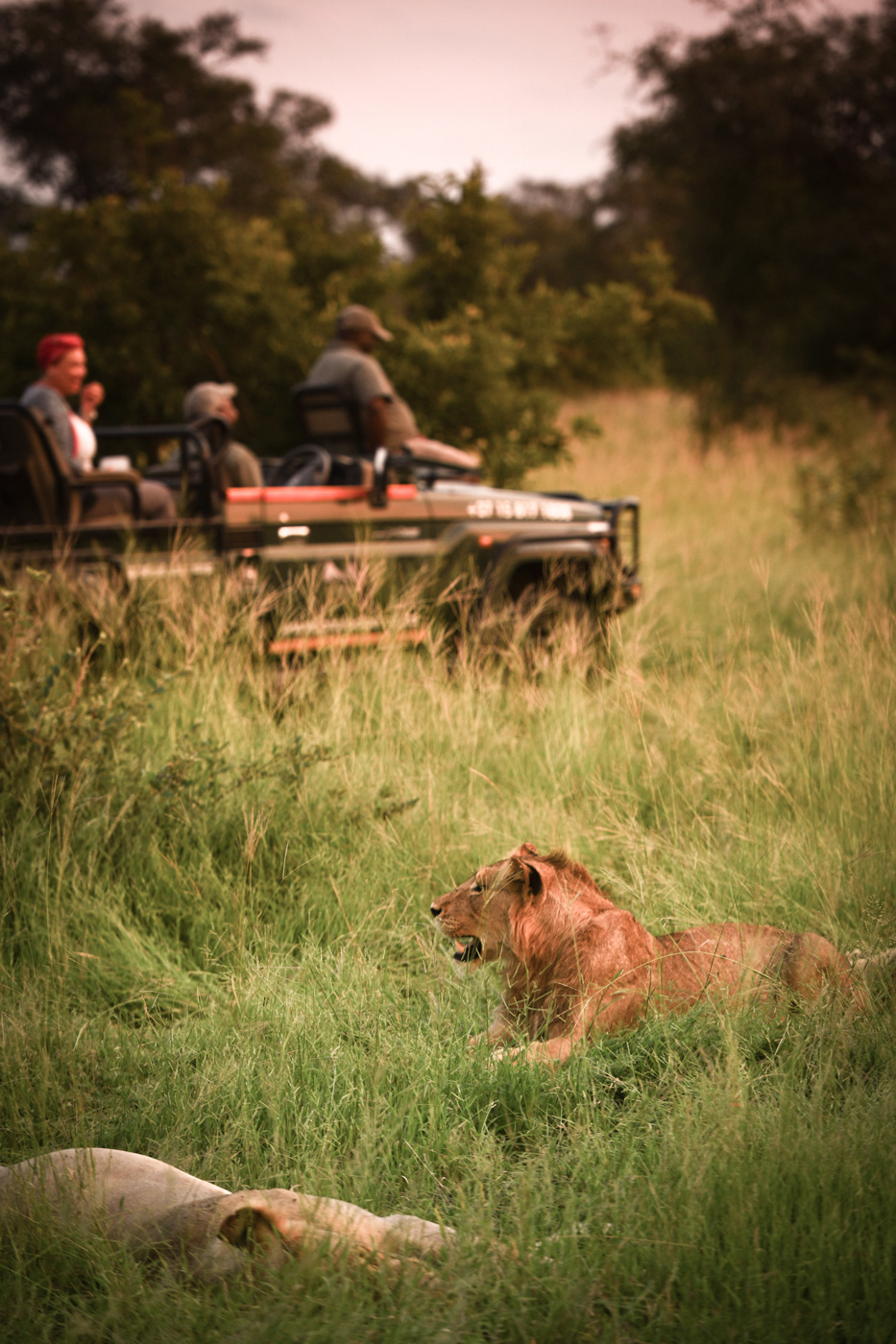 Ignus Gerber - A.M. 5 Star Lodge