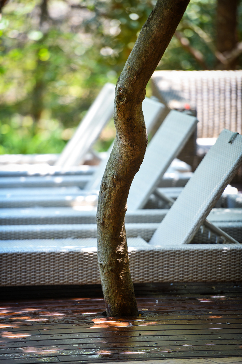 pool side A.M 5 star lodge