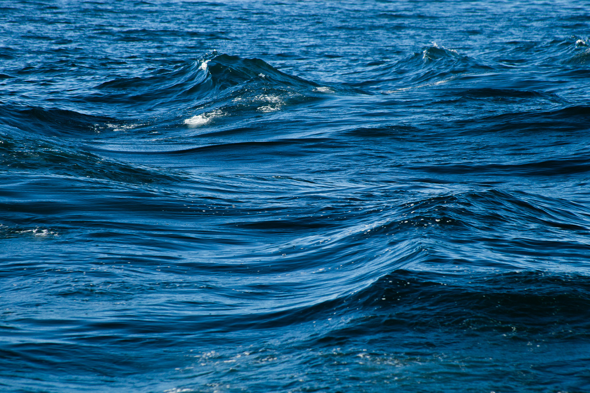 There's Something About the Water, 2024