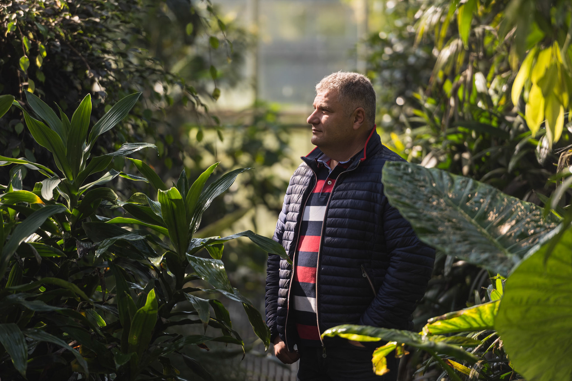 FCSM Dél-Pesti Szennyvíztisztító telep - pálmaház - Barabás Győző Ferencz, a FCSM környezetgazdálkodási igazgatója