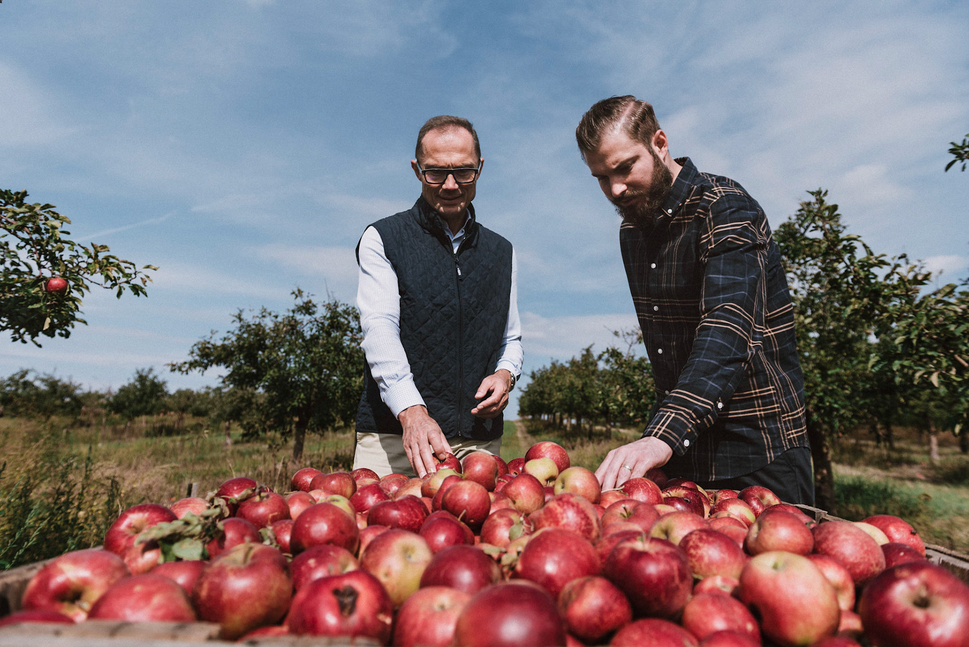 Budaprés Cider