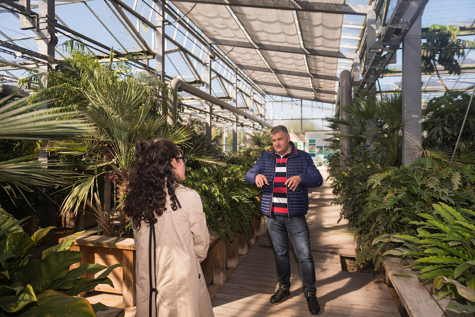 FCSM Dél-Pesti Szennyvíztisztító telep - pálmaház - Barabás Győző Ferencz, a FCSM környezetgazdálkodási igazgatója