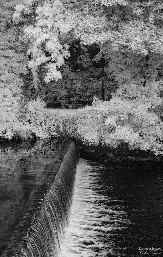 The River Tavy flows over the weir and through Tavistock.