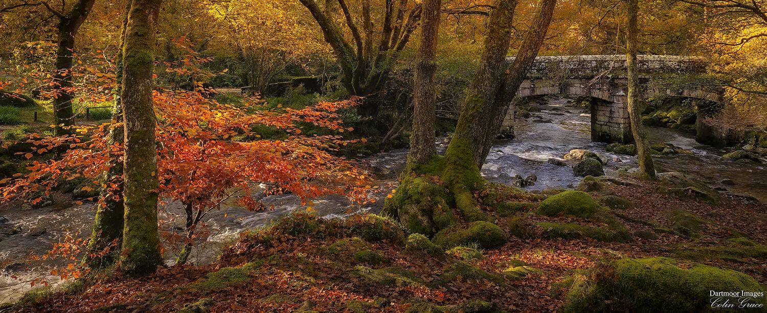 The River Plym flows through the autumnal colours of the woods woods at Shaugh Prior on Dartmoor.