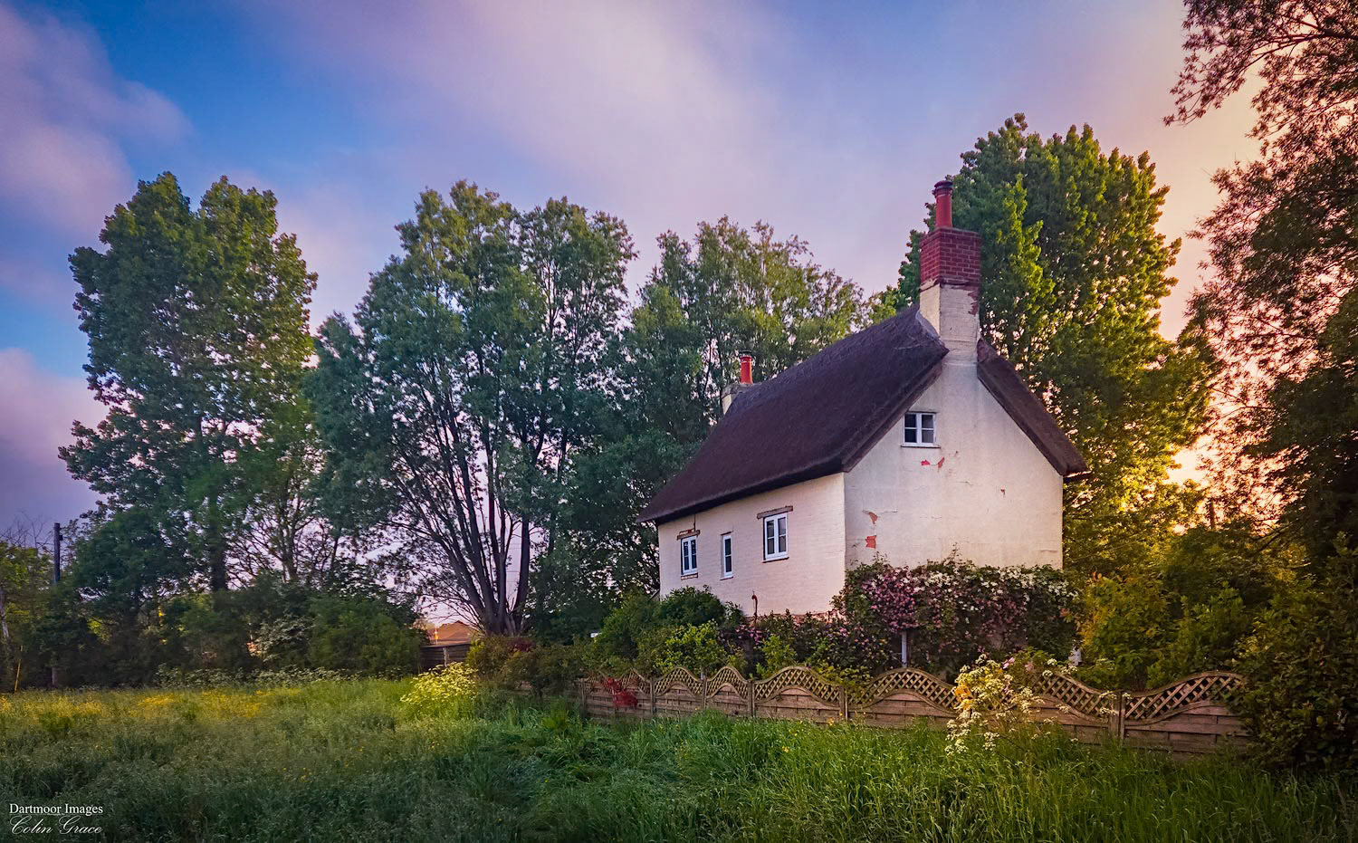 A thatched cottage bathed in early morning sunlight on the outskirts of Bridport in Dorset.
