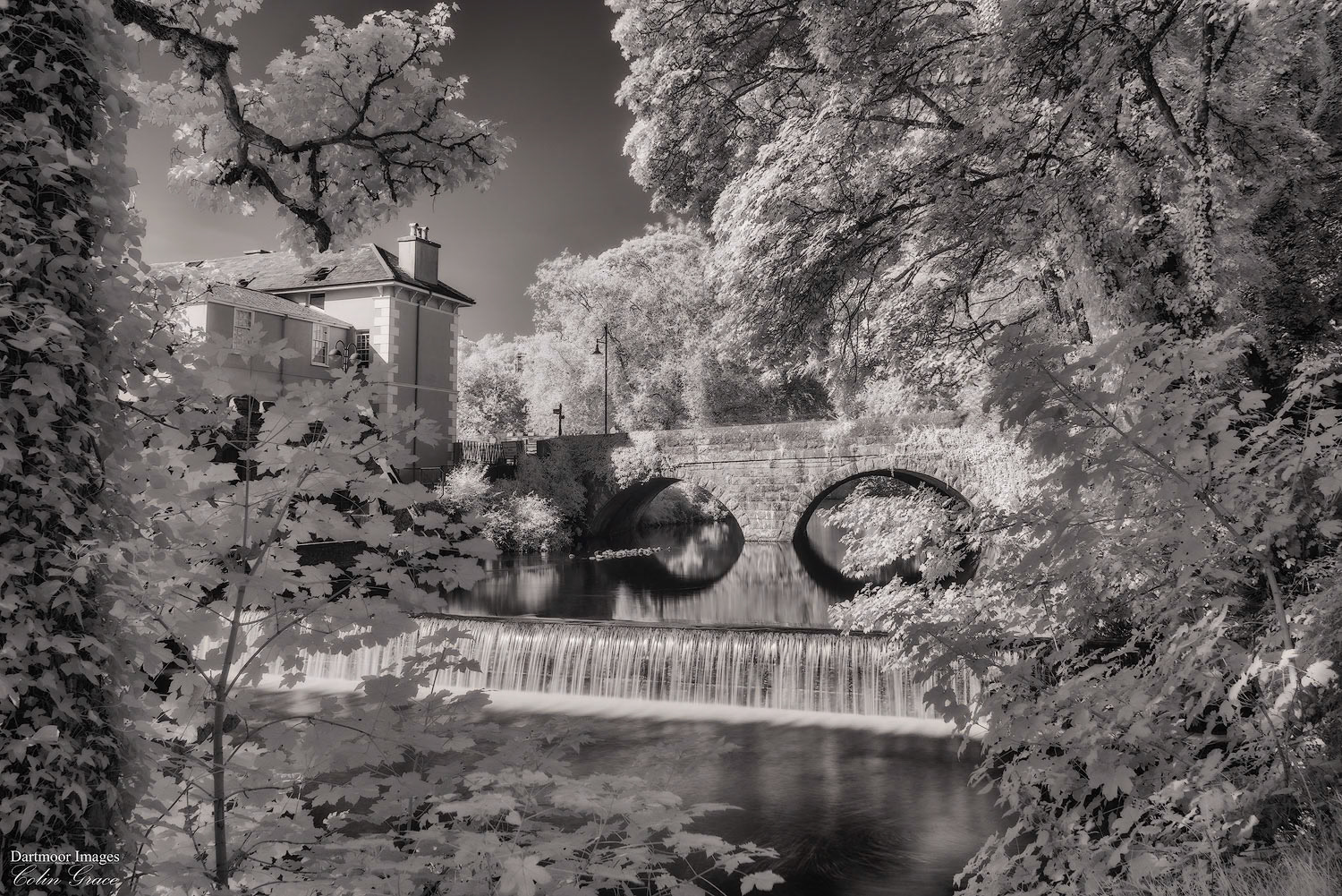 The River Tavy flows under Abbey Bridge and over the weir during a sunny summers afternoon at Tavistock in Devon.