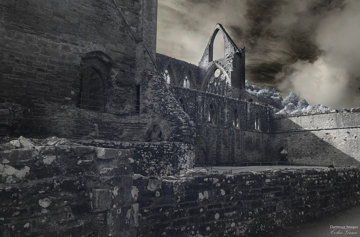 Tintern Abbey_6