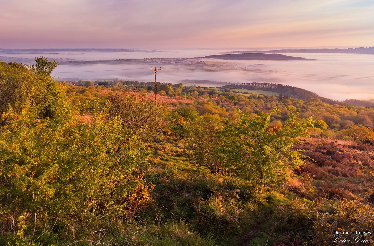 An early morning view across Cornwall and Devon from Kit Hill during a misty spring morning.