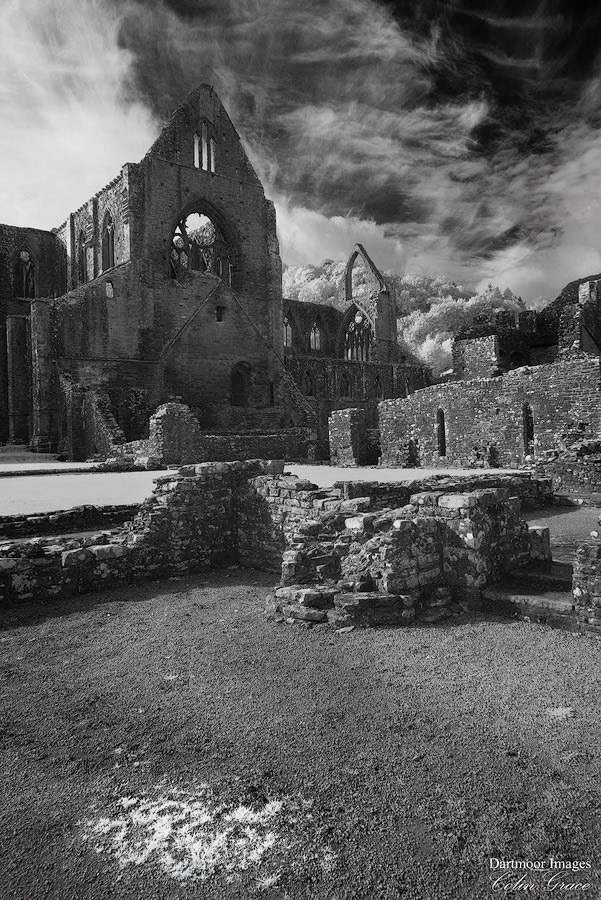 Tintern Abbey_8