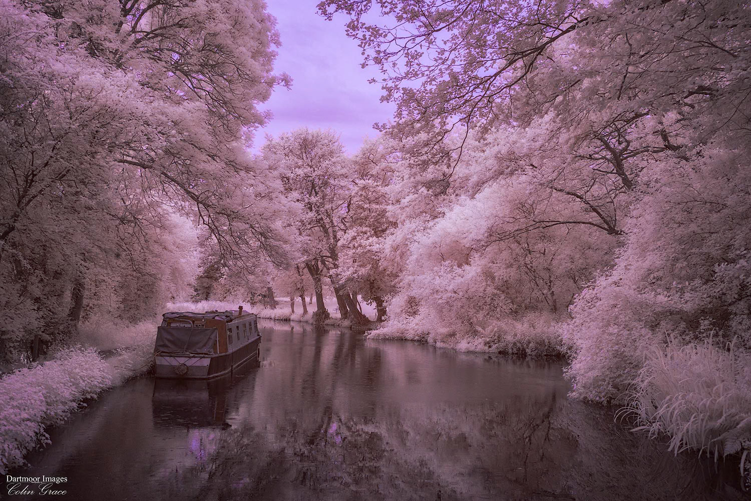 A false colour infra red image of canal boats moored alongside the Monmouthshire and Brecon Canal at Goytre Wharf in South Wales.