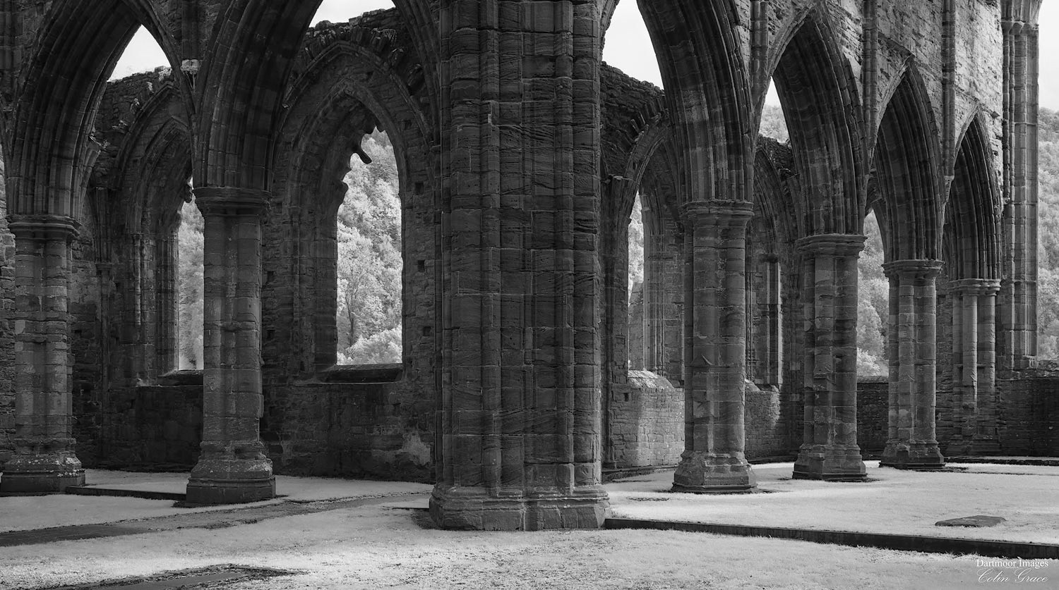 Tintern Abbey_5