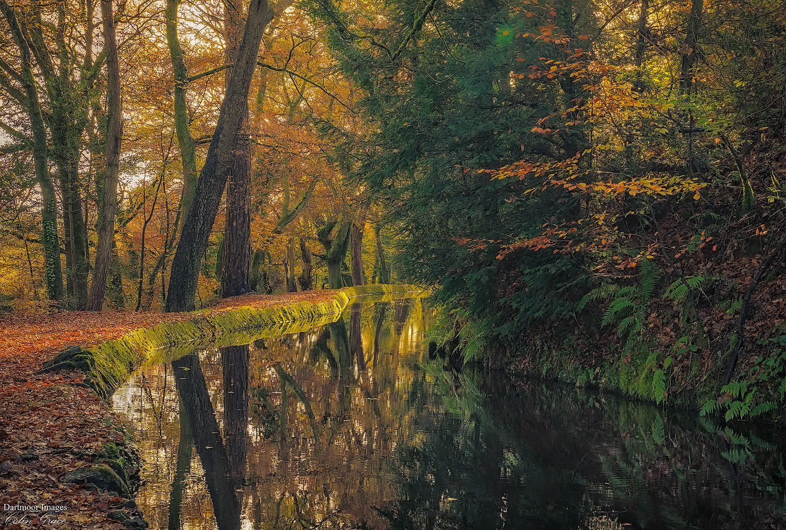 Tavistock Canal_6
