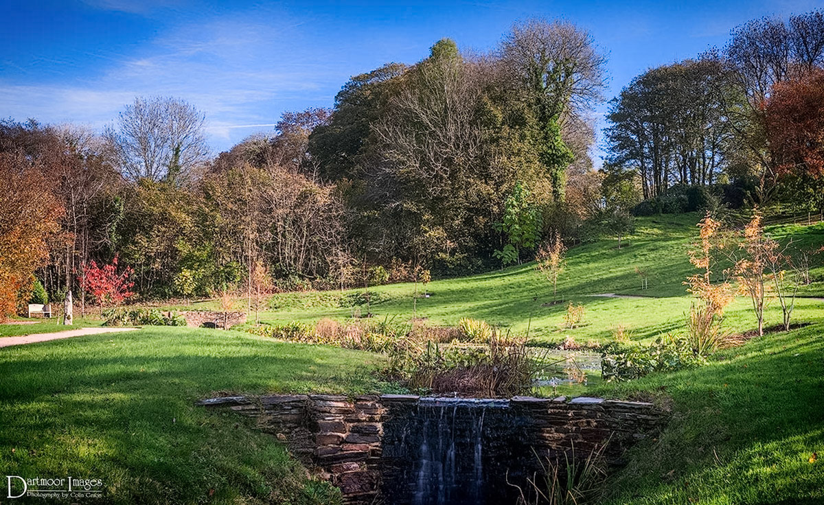 The new arboretum at The Garden House just outside the small village of Crapstone in Devon.