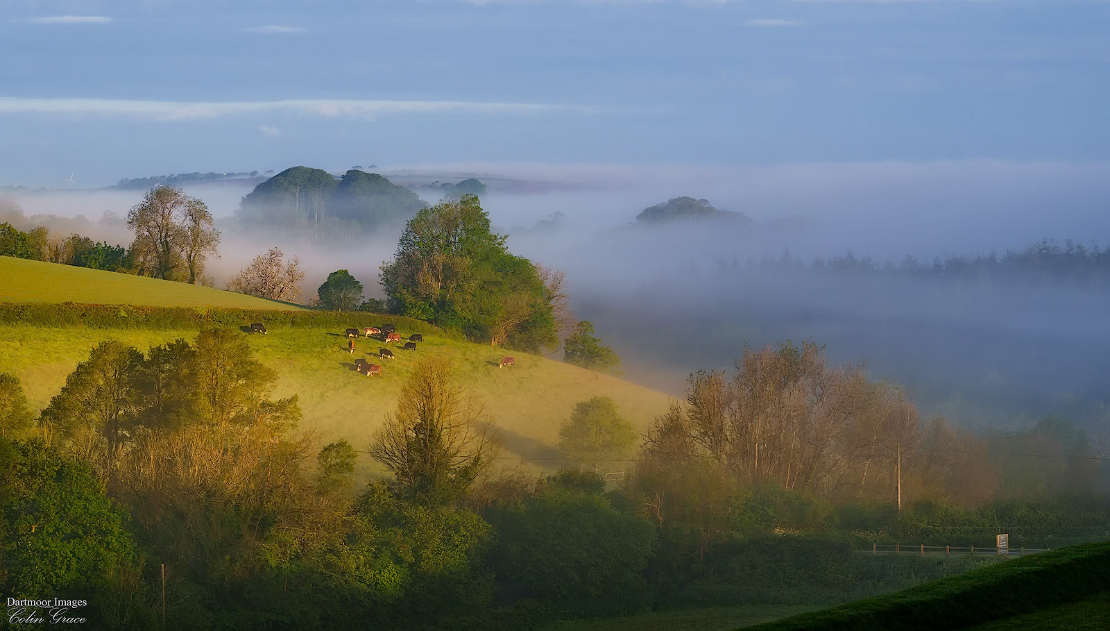 Misty view from Tregoad