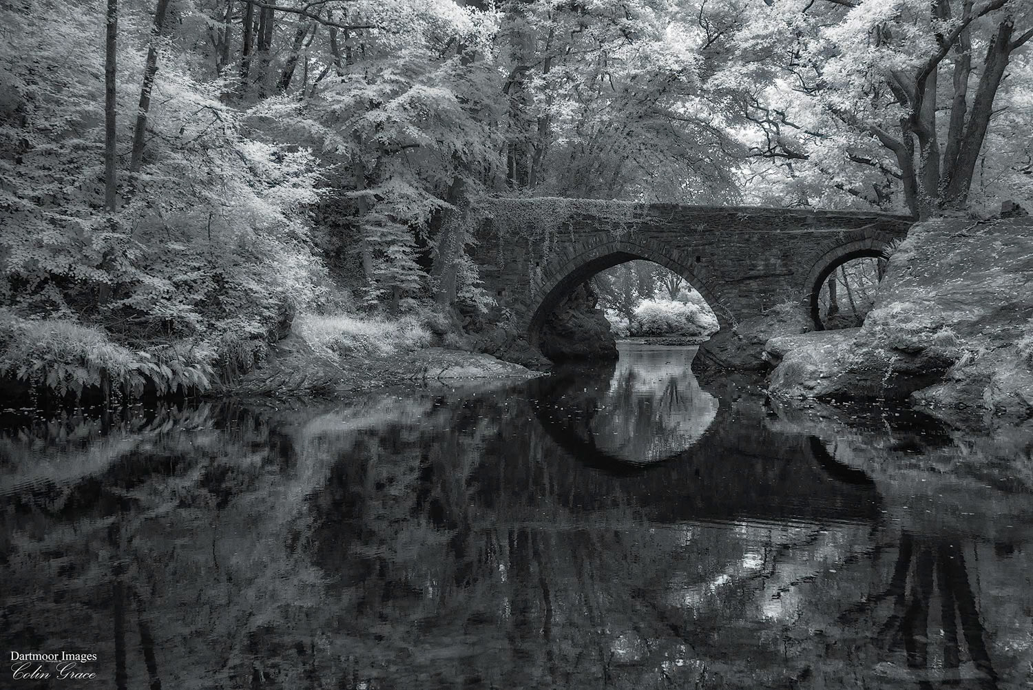 The River Tavy gently flows under Denham Bridge during a Summers afternoon in Devon.