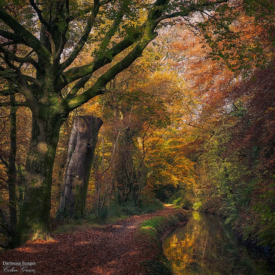 Tavistock Canal_1