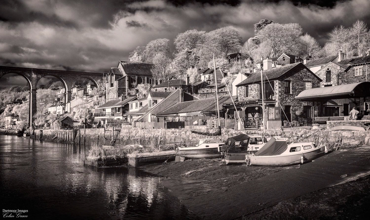Low Tide at Calstock