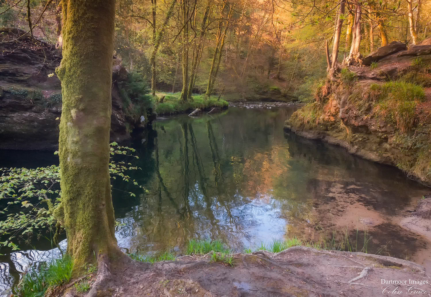 The River Plym serenly makes its way through Plym Woods on a balmy spring morning in Devon.