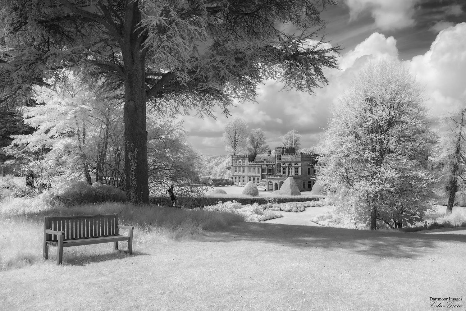 Forde Abbey_3