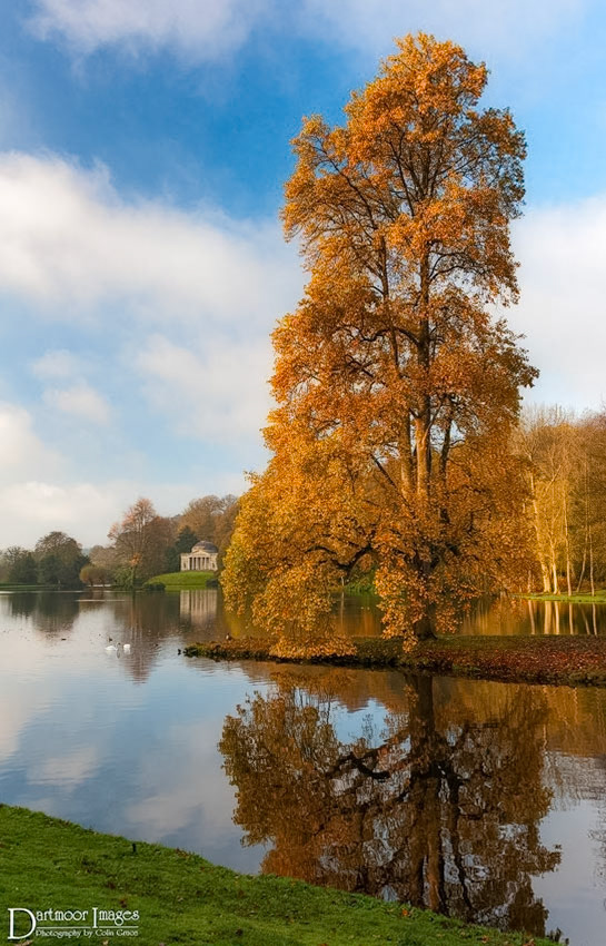 Early morning at Stourhead Gardens. With no wind the trees on the island and surrounding countryside as well as the Pantheon are reflected in the still waters of the lake.