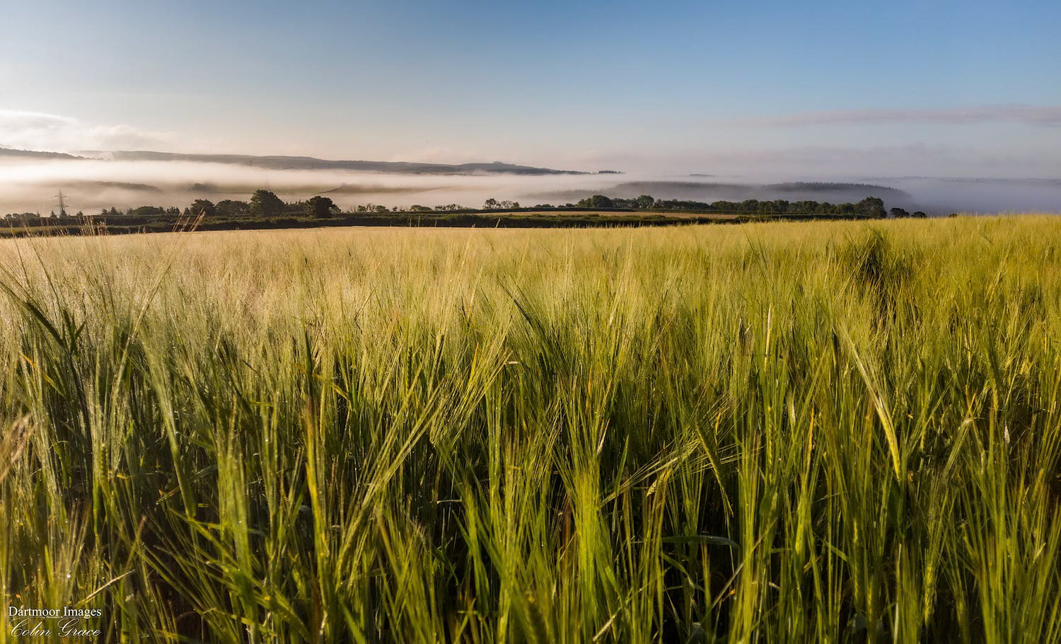 Woolwell Sunrise_22-036