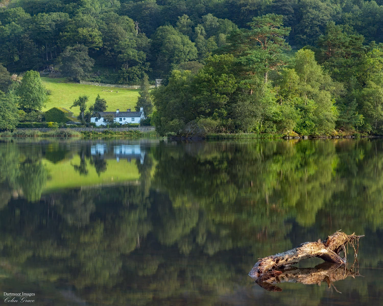 A small cottage and surrounding countryside are reflected in the still waters of Rydall Water during a balmy summers morning in the Lake district.