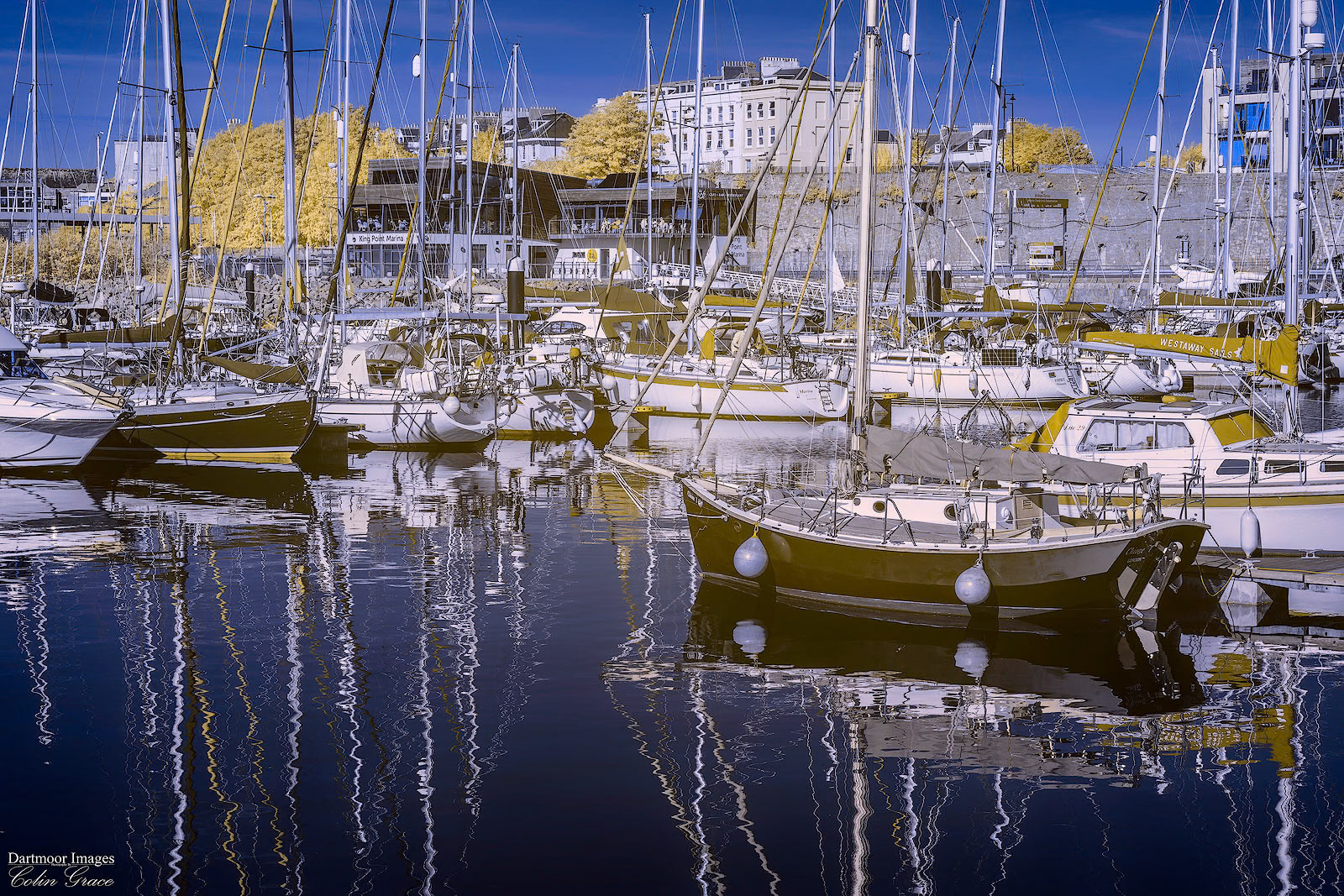 King Point Marina