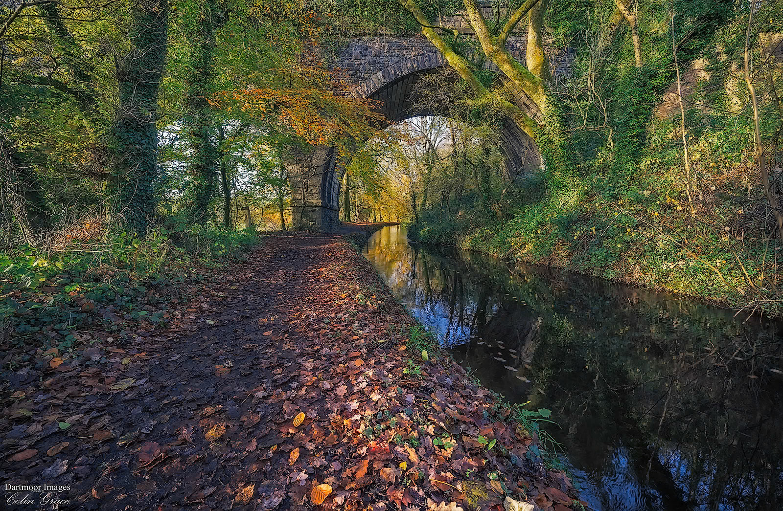Tavistock Canal_4