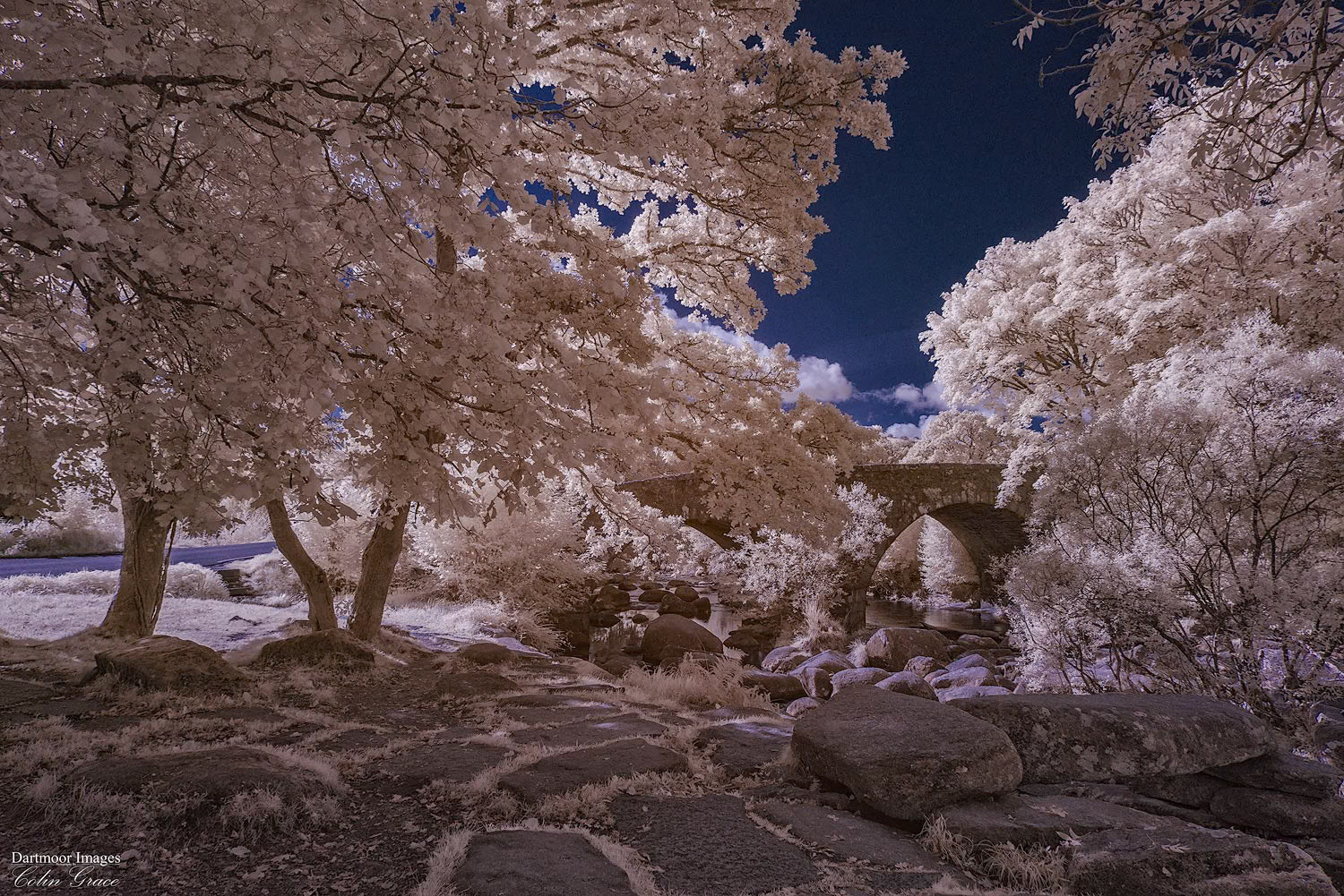Dartmeet where the East and West Dart rivers meet on Dartmoor. Photographed using an infra red camera.