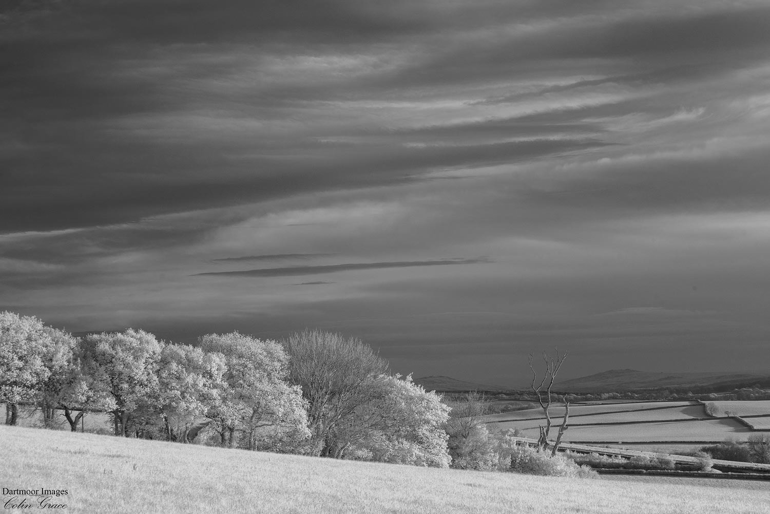 Woolwell Sunrise_22-045