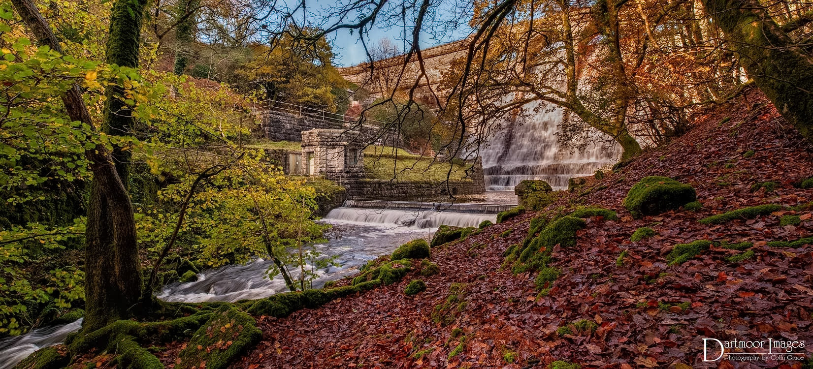 The beginning of the end for the River Meavy on Dartmoor as the waters from Burrator Reservoir tumble over the dam and into the river as it begins its last journey to Shaugh Prior where it will meet and join the River Plym.