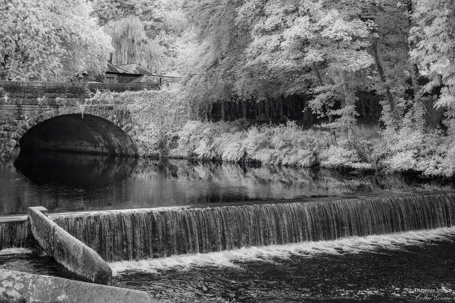 The River Tavy flows over the weir and through Tavistock.