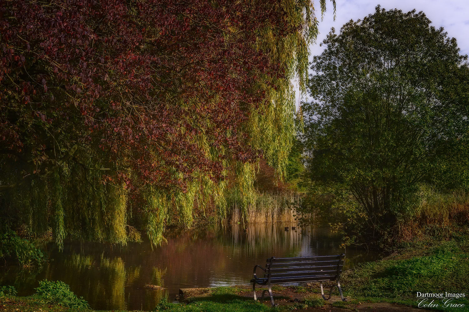 A bench with a good view across a small pond in a park in Cirencester.