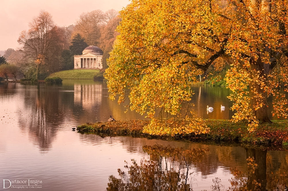 Two swans glide majestically across the lake at Stourhead during an early morning trip around the gardens. The rising sun begins to light up the surrounding area and the tips of the trees near the Pantheon, one of the many structures that can be found around the lake and gardens at Stourhead.