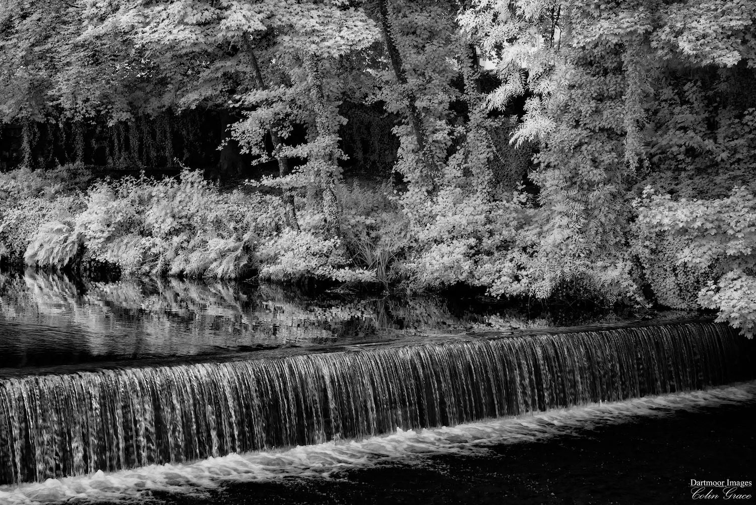 The River Tavy flows over the weir and through Tavistock.